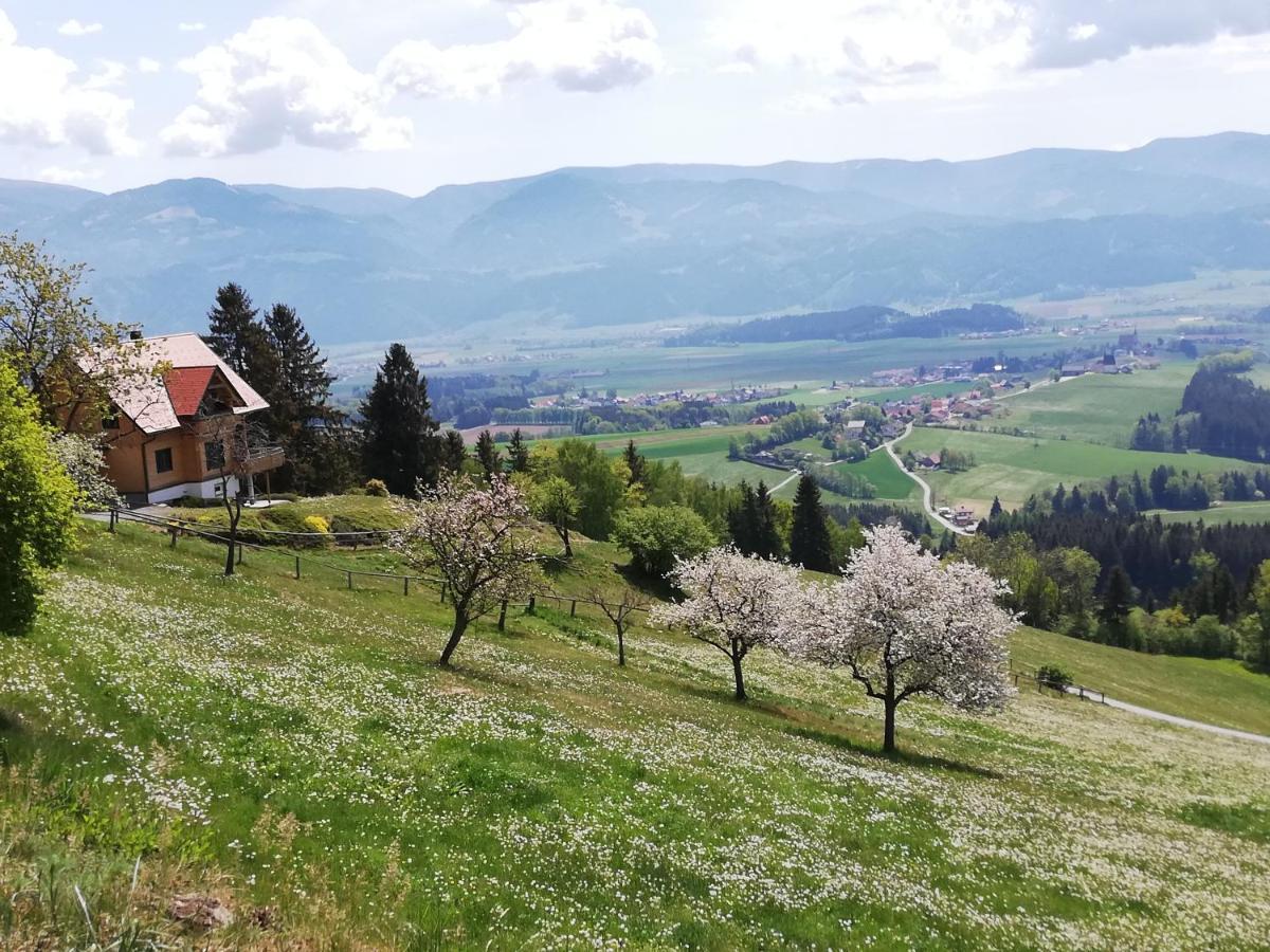 Ferienhaus Hochfelner Sankt Marein bei Knittelfeld Exterior photo
