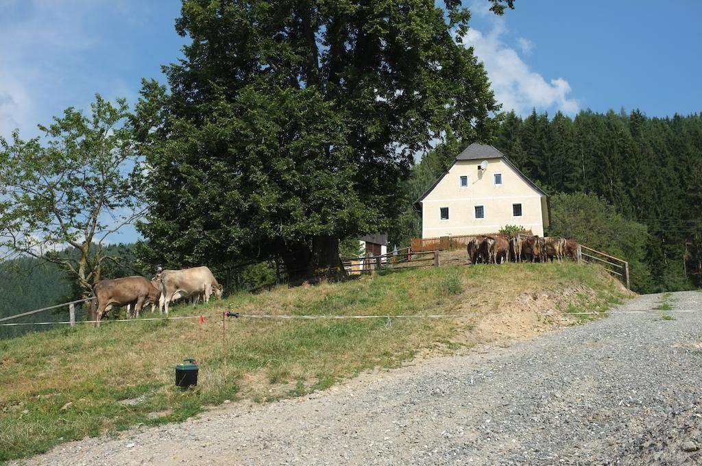 Ferienhaus Hochfelner Sankt Marein bei Knittelfeld Room photo